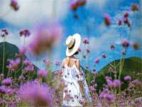 运城市盐湖区健瀚科技有限公司