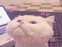 运城市盐湖区健瀚科技有限公司