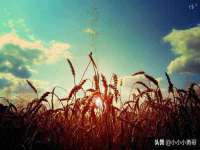 运城市盐湖区健瀚科技有限公司