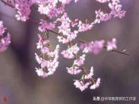 运城市盐湖区健瀚科技有限公司