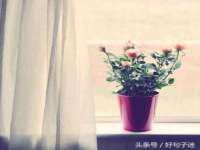 运城市盐湖区健瀚科技有限公司