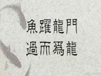 运城市盐湖区健瀚科技有限公司
