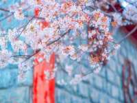 运城市盐湖区健瀚科技有限公司