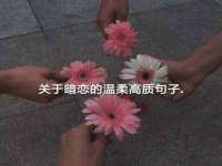运城市盐湖区健瀚科技有限公司
