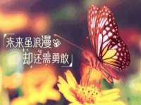 运城市盐湖区健瀚科技有限公司