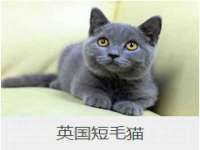 运城市盐湖区健瀚科技有限公司