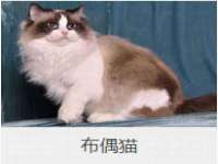 运城市盐湖区健瀚科技有限公司