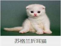 运城市盐湖区健瀚科技有限公司