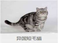 运城市盐湖区健瀚科技有限公司