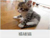 运城市盐湖区健瀚科技有限公司