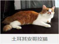 运城市盐湖区健瀚科技有限公司