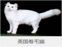 运城市盐湖区健瀚科技有限公司