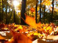 运城市盐湖区健瀚科技有限公司
