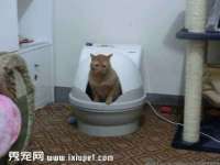 运城市盐湖区健瀚科技有限公司