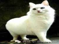 运城市盐湖区健瀚科技有限公司