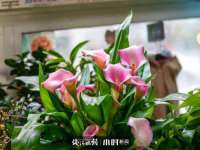 运城市盐湖区健瀚科技有限公司
