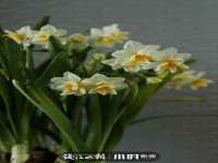 运城市盐湖区健瀚科技有限公司