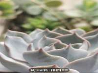 运城市盐湖区健瀚科技有限公司