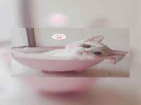 运城市盐湖区健瀚科技有限公司