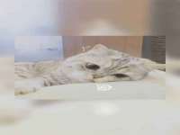 运城市盐湖区健瀚科技有限公司
