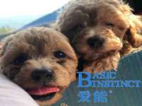 运城市盐湖区健瀚科技有限公司