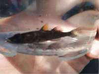 运城市盐湖区健瀚科技有限公司