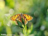 运城市盐湖区健瀚科技有限公司