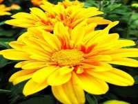 运城市盐湖区健瀚科技有限公司