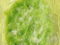 运城市盐湖区健瀚科技有限公司
