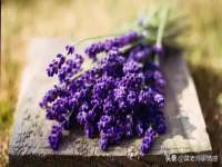 运城市盐湖区健瀚科技有限公司