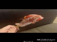 运城市盐湖区健瀚科技有限公司